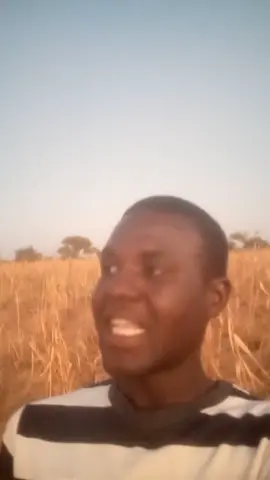 😆😆😆😆😆😆😆😆😆😆😆😆