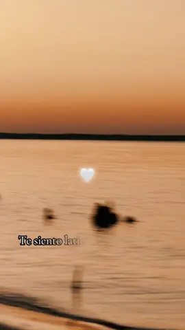 🌊🌅#latinmafia #latinmafiamusic #musica #atardardecer🌅 