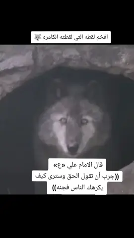 #صعدوو_ءڪڪسبلور_للايڪ_متابعه #عاده_نشر_فيديو🔄 #ذئاب_الليل👍 #دويتو #صواب_الذيب 