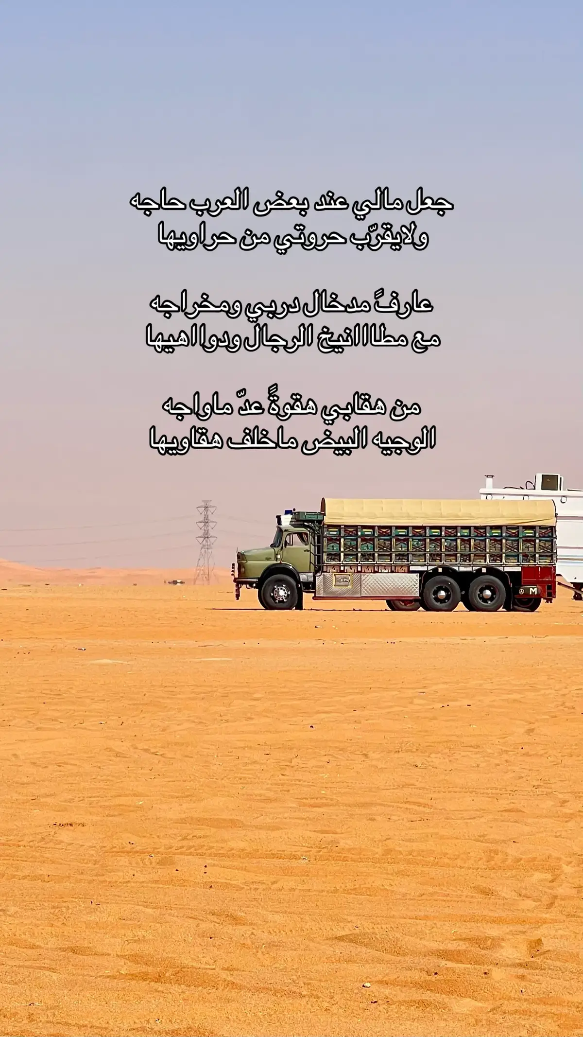 #منصور_ابن_ناصر🦅 #شعل_الذهب #ناصر_ابن_حمد #ابن_حمد #ماشاءالله_تبارك_الله 