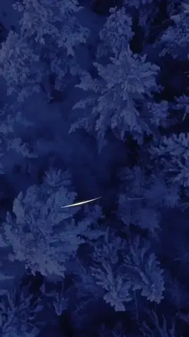 ما شاء الله تبارک الله صوت يبكي ##