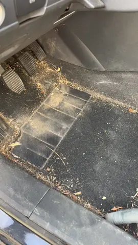A car with carpets still really dirty, this cleaning took quite some time. #CleanTok #cleancar #detailing #satisfyingvideos #cleaning 