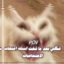 صدمه العمر 🥰💔+غير تشك شك ولمدرسه اتكول الاسئله مي🗿 ضلينه الدرس الثالث الي خلصنه🗿💔+اللهم صلِّ على محمد وآل محمد 