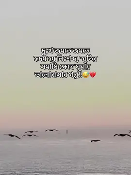 দুঃখ জমতে জমতে হৃদয় হয় নিঃশব্দ, স্মৃতির সমাধি ক্ষেত্রে ঘুমায় ভালোবাসার গল্প.!😅💔#viral #foryoupage #rakib_chowdhury89 