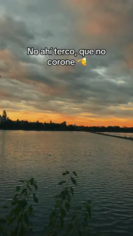 #terco #metasysueños 