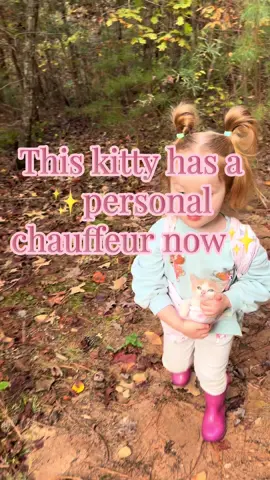 We took a walk through the woods and she insisted that she also wear her baby like I was wearing her sister.  #babywearing #toddlersoftiktok #kittensoftiktok #toddlerlife #fyp 