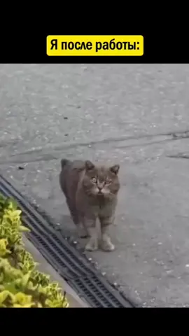 #рекомендации 