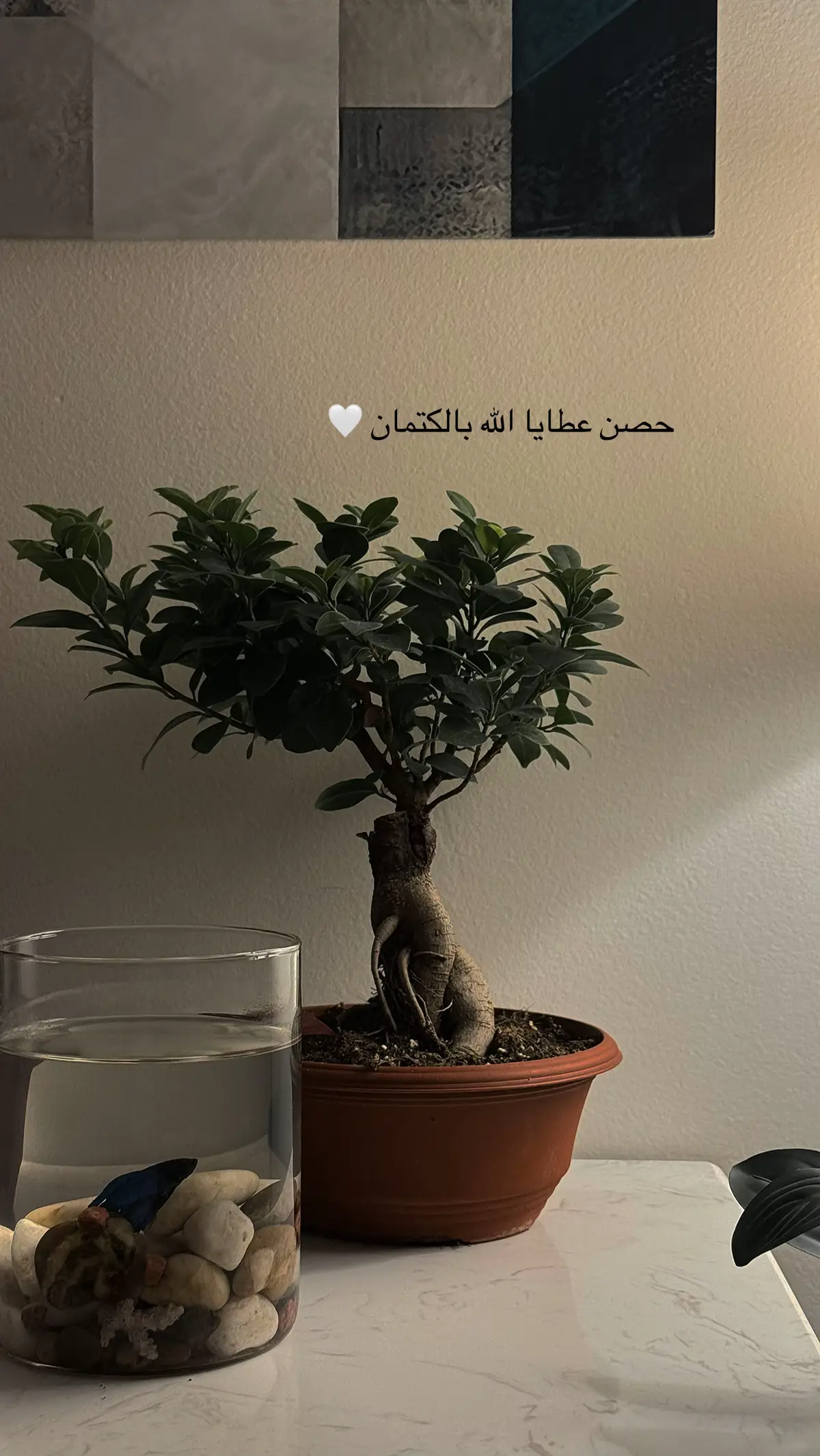 #اكسبلور #استكنان #الانتشارالسريع #اقتباس 