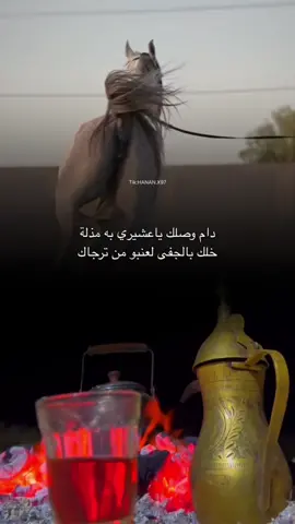 دام وصلك ياعشيري به مذلة #explore #fyp #تصميم_فيديوهات🎶🎤🎬 #خيل #الشعب_الصيني_ماله_حل😂😂 