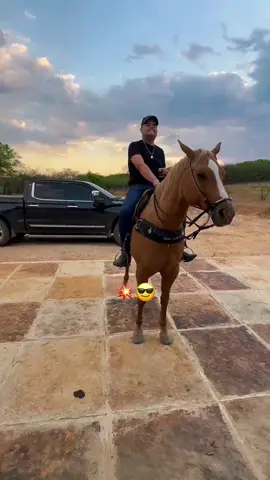 Continuem ouvindo Tarcísio do Acordeon - ABC da vaquejada lá no @suamusica 🎶 CD pancada pro seu fim de semana 🔥 #tarcisiodoacordeon #abcdavaquejada