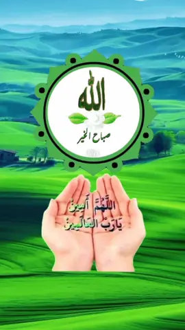 #ডুয়েট #ইসলামিক ভিডিও #