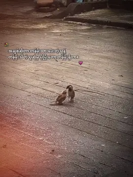 အချစ်ဆိုတာ...#アワイン #fypシ゚ #foryou #feel #愛 