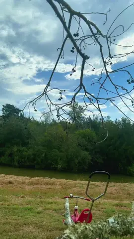 #LIVEIncentiveProgram #LIVEStory #PaidPartnership 