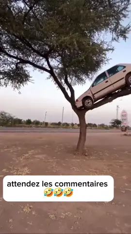 🤣🤣#pourtoii #musique #commentaireschantés #france