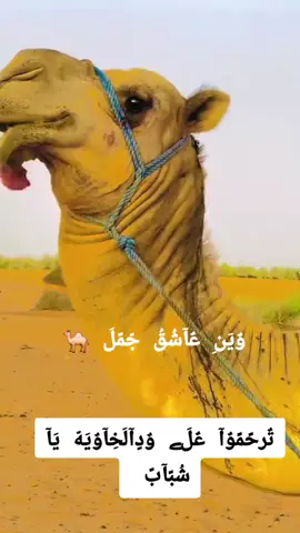 #لايك_متابعه_اكسبلور #ودالخاويه_لك_الرحمه_والمغفره #لايك_متابعه_اكسبلور #جّخِوٌ،آلَشُغُلَ،دٍآ،يَآ،عٌآلَمً،➕_❤_ #لايك_متابعه_اكسبلور 