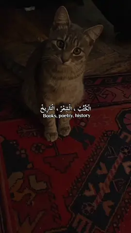 #الكتب #الشعر #الشعر_الشعبي #التاريخ #التاريخ_الإسلامي 