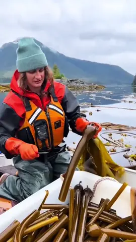 #viral #satisfying #asmr #amazing #asmrsounds 