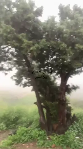 #fyyyyyppppppppppppppp 