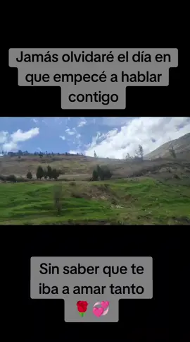 No sé si fue casualidad o destino, pero si llegué a tu vida… déjame quedarme a enamorarte poquito a poquito. #viral  #salsa  #salsaromantica  #video  #fyp 