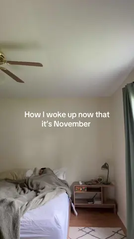 Get the tiger blanket, pozole and tamales ready!! #miburritosabanero #latinacreators #latinostiktok #christmas #hispanictiktok 