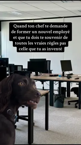 Quand ton chef te demande de former un nouvel employé et que tu dois te souvenir de toutes les vraies règles pas celle que tu as inventé
