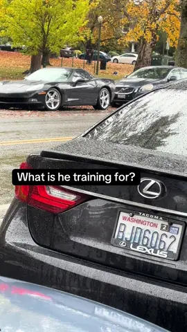 Beginning of fall and in the rain. Who hurt buddy?!