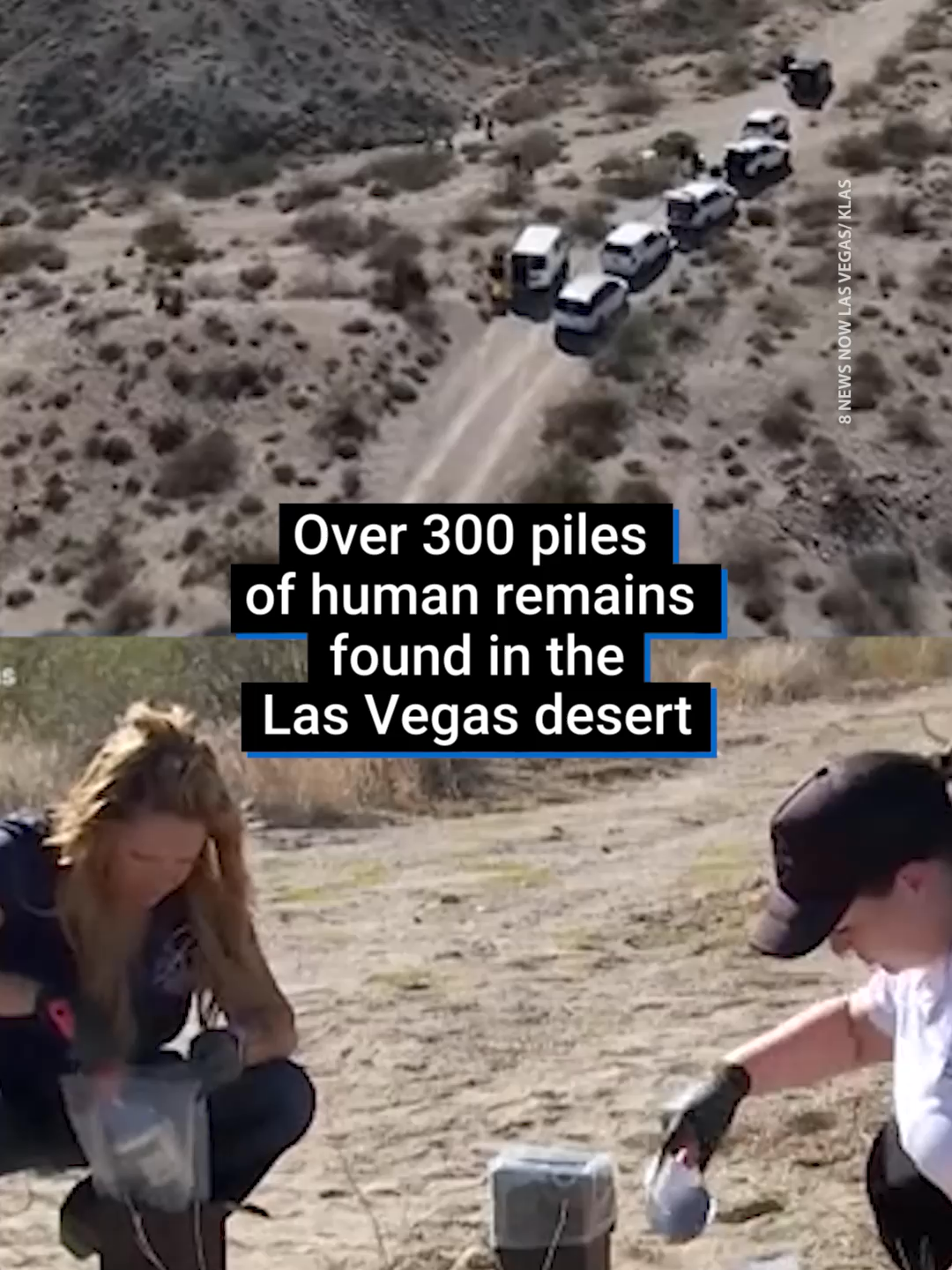 An investigation has been launched into the origin of mounds of human ashes found in the desert near Las Vegas. A man alerted authorities after discovering around 70 suspicious piles of ashes concentrated around a dirt track outside the rural town of Searchlight, Nevada. Inquiries confirmed they consisted of cremated human remains, sparking a wider search in the area. A second group of piles was found, and the total recovered from both sites now stands at 315. #lasvegas #investigation