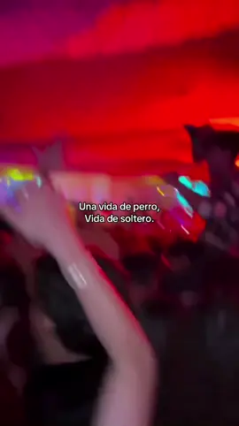una vida de 🐶, vida d soltero.                                          #fyp #viral #xybca #soltero #fiesta 