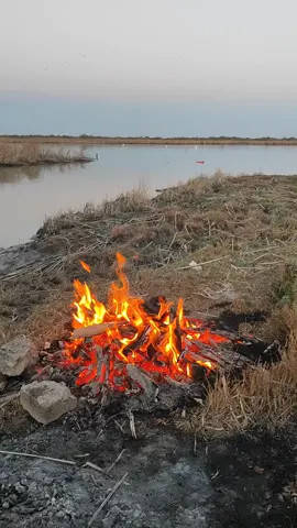 #العراق #شط_العرب #ذواقين__الشعر_الشعبي #لايك_متابعه_اكسبلور  أحبكم احلى متابعين #💔💔💔😭😭😭😭 