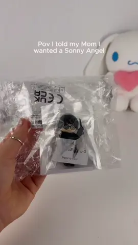 And she gave me the Harry Potter series 🥹❤️ #harrypotter #sonnyangel #sonnyangelcollection #potterhead 