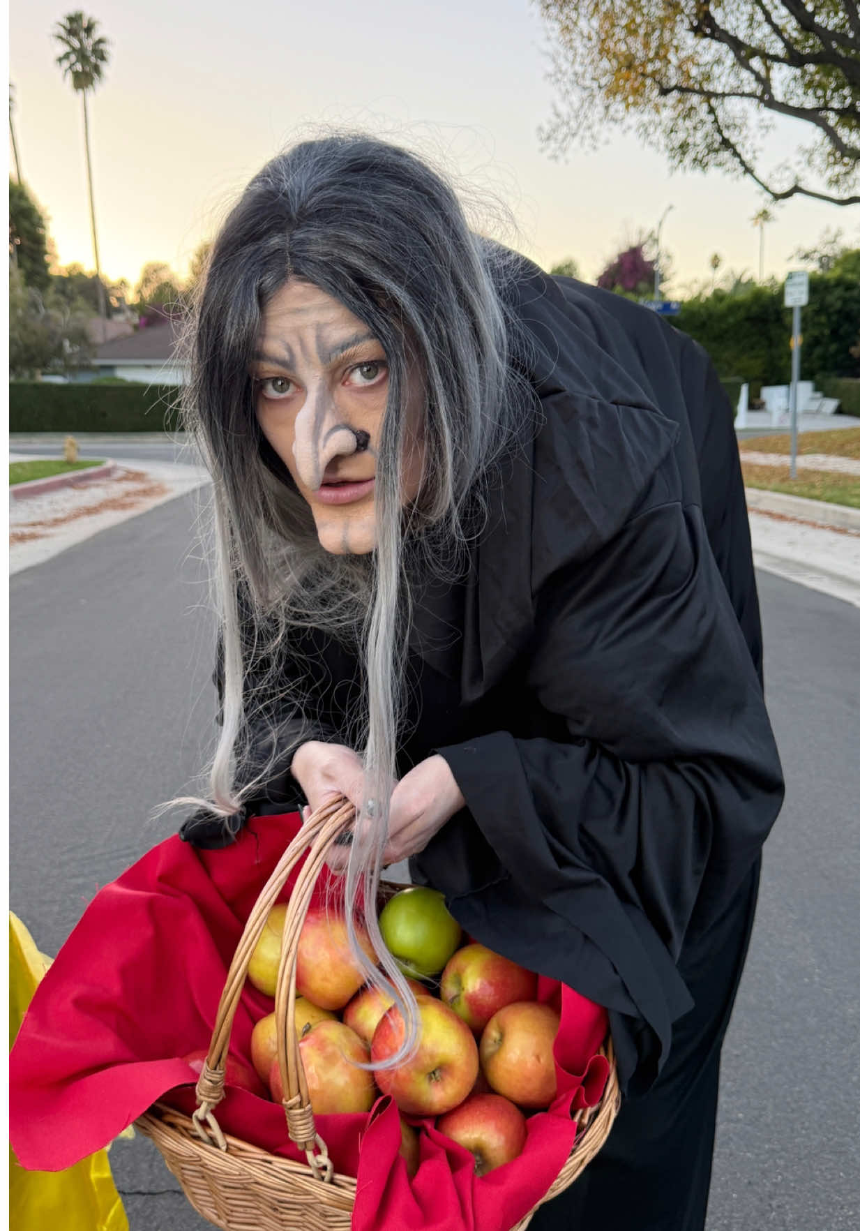 I’m just the baby sitter 🧙🍎 @Lele Pons @guaynaa 