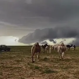 #explore #fyp #foryou #اكسبلور 