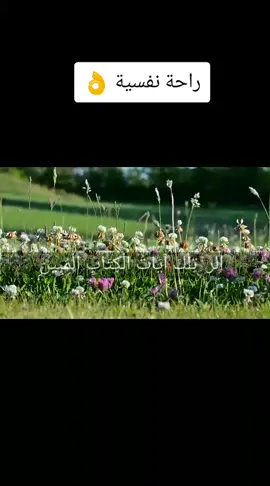 #ماشاءالله_تبارك_الرحمن🌴💛🌴💛🌴 