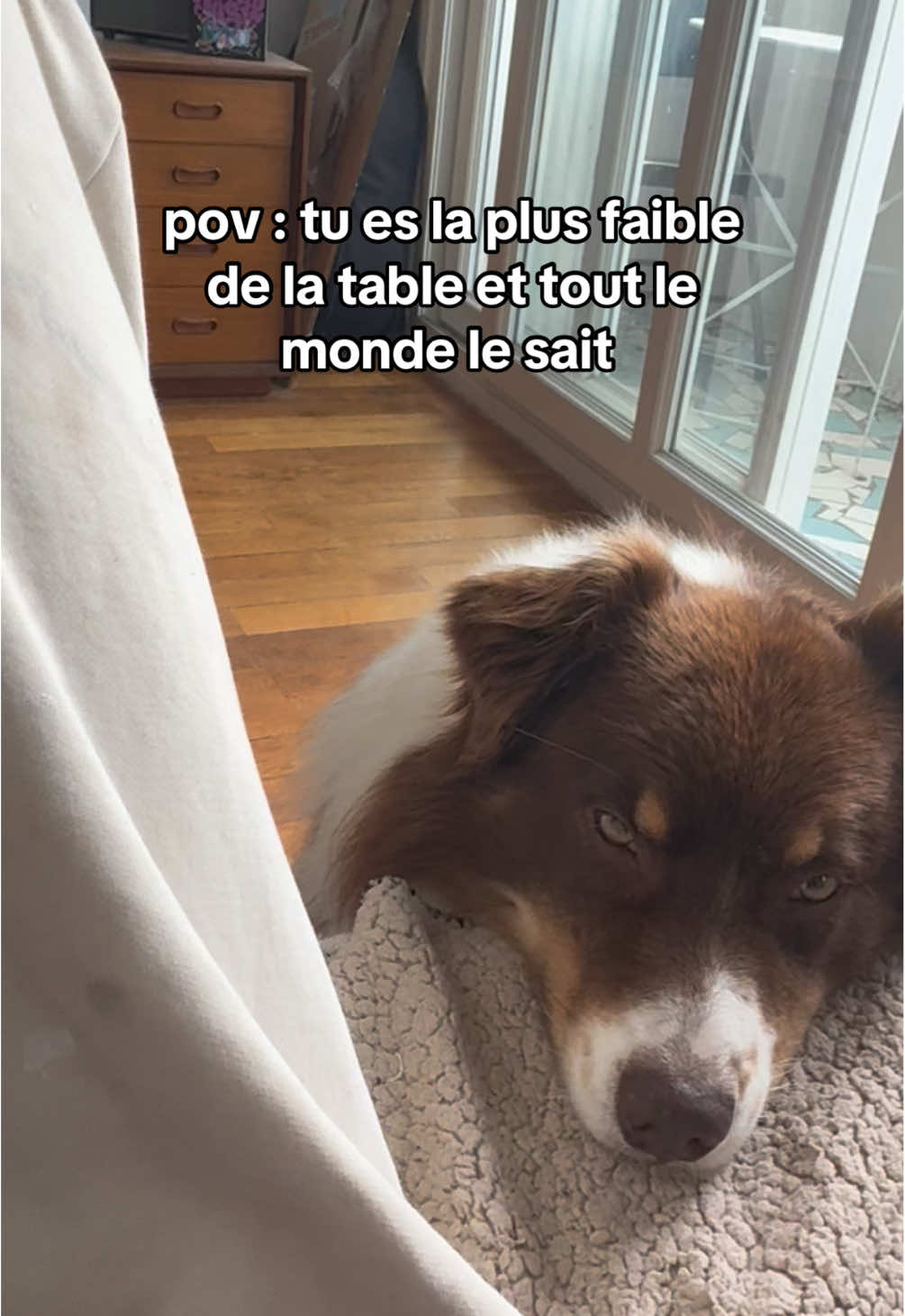 On peut pas être tranquille ici 😔