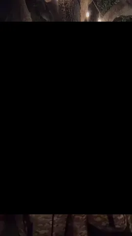 draft from yesterday @aubrey 