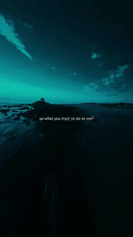 Animals by Maroon 5 🎵. #maroon #fyp #lyrics_songs #foruyou #animals 