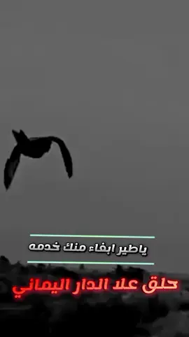 ياطير إبغا منك خدمه. 🫡🫵🏻🇾🇪 #صنعاء_تعز_عدن_اب_ذمار_حجة_حضرموت  المصمم 🇾🇪🫡ابو مرتاح 🫡🇾🇪