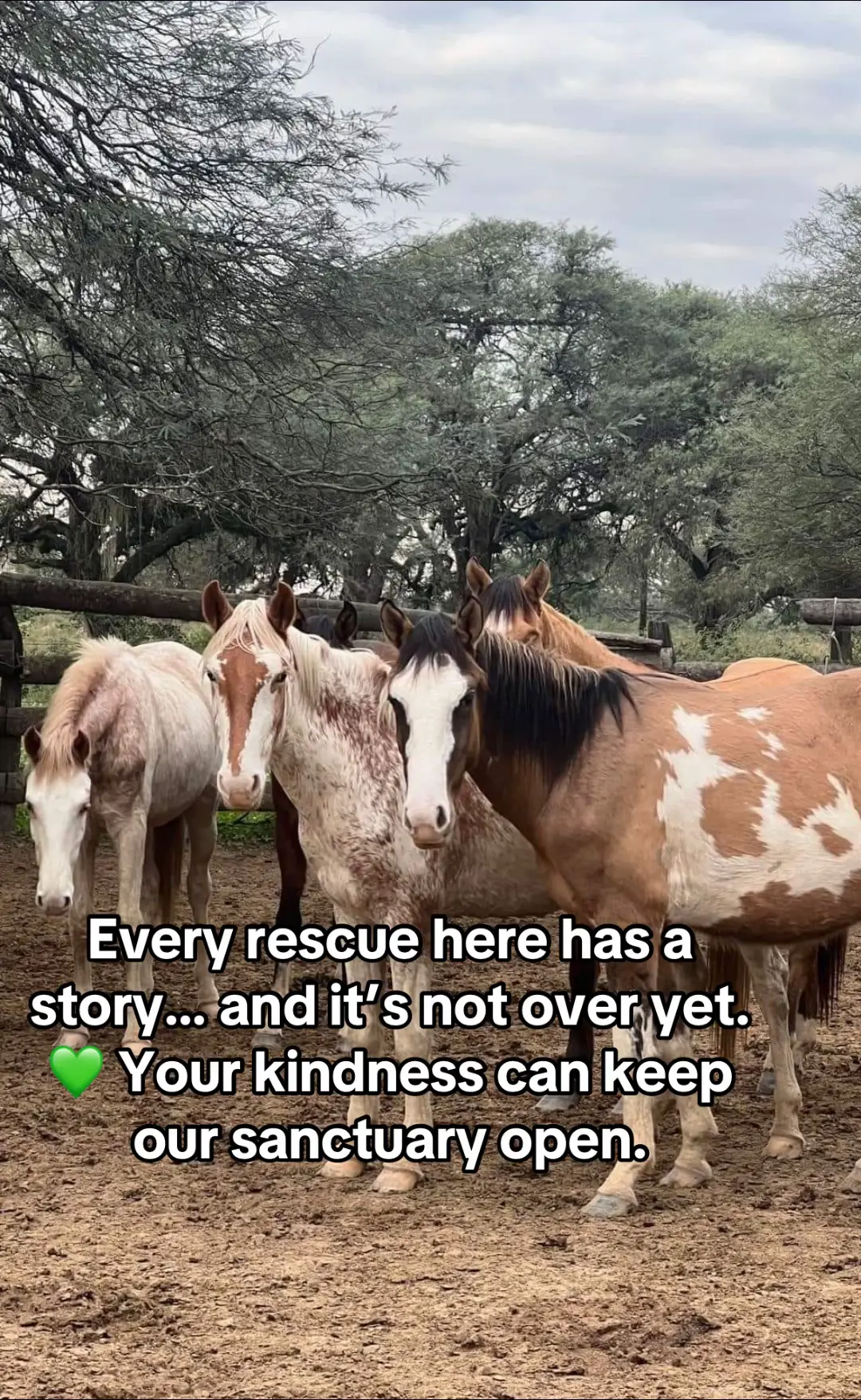 #SaveOurSanctuary #KeepTheGatesOpen #HelpUsStayOpen #SupportTheSanctuary #DonateForGood