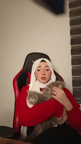 #محمود_الجبلي #مشاهدات #tiktokarab 