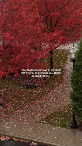 love being able to feel grateful. it’s not always easy  #grateful 