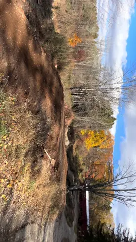 #crf250r #honda #2025 #motorcrosss #2025crf250r 