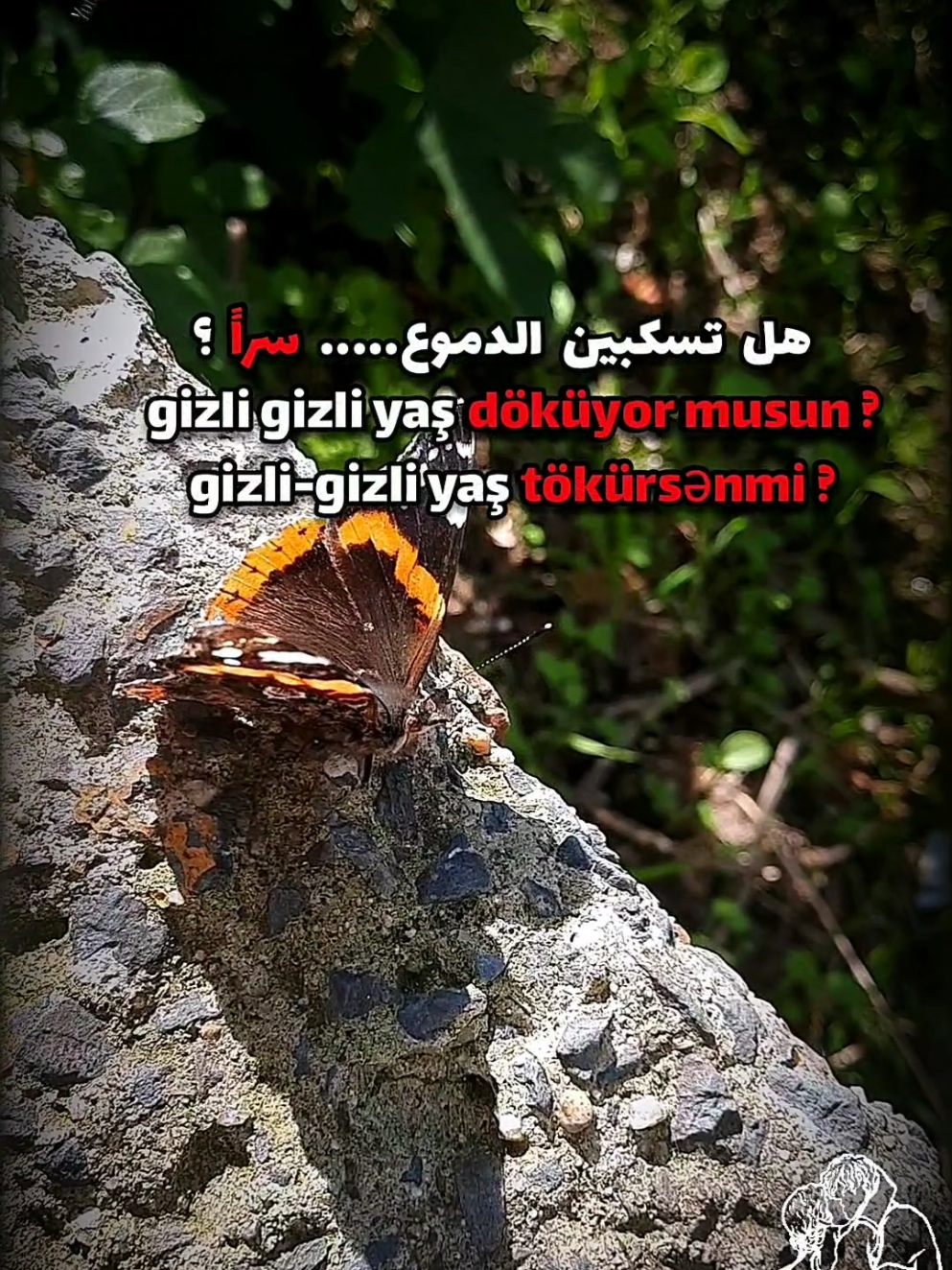 الهروب من حبك أمرٍ مستحيل، فما من خَيارٍ أملكه، ولا منكِ يوجد بديل أو حتى 