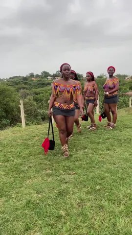 Ememulweni woMaLuthuli ❤️ #fyppppppppppppppppppppppp  #ubuntombi 