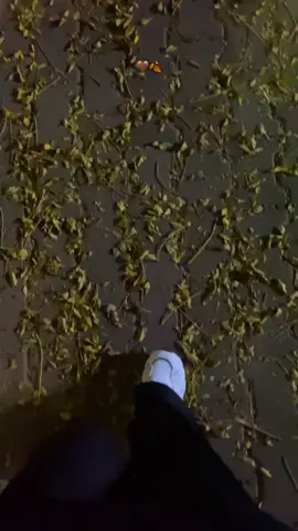 10:10 waki balgen zar u waryay 🤎🍂🫠…#fypシ゚ #viral #tiktok #foryou #selwa🦋 