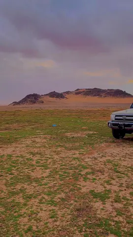 #الطويل_راف_الحصان #الشتاء🎻🎼 #تصويري_احترافي_الاجواء👌🏻🕊😴 