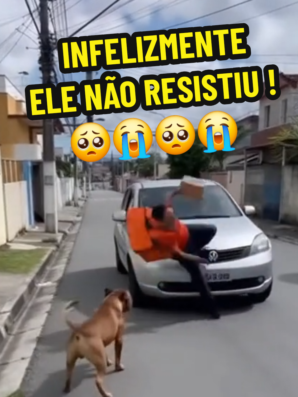 🤦‍♂️ DOG TEM CULPA ❓️ VOCÊ CONCORDA ❓️❓️  Entrega da Shopee acaba em desastre, MUITOS ESTÃO FALANDO QUE FOI CULPA DO CACHORRO! 🐶 🤔 Conte nos comentários a sua OPINIÃO.  #entregador #shopee #sora2 #viraltiktok #funnyvideo 