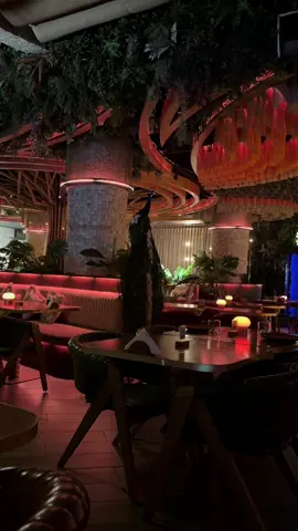 #اربيل🕊💫💚 