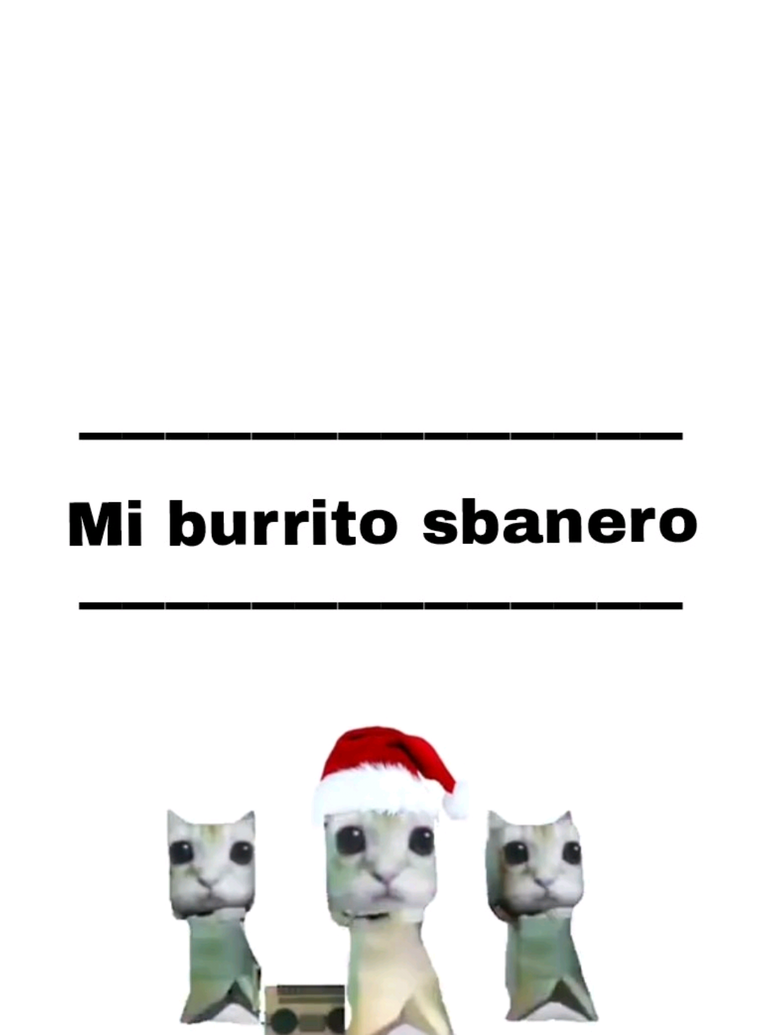 🎧Tuki tuki tuik ta🗣️ Name: Burrito sbanero #musica #cancion #lyrics_songs #song #fyp 