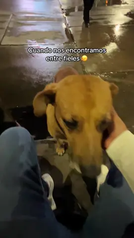 #paratiiiiiiiiiiiiiiiiiiiiiiiiiiiiiii #dale❤️ #fpy 