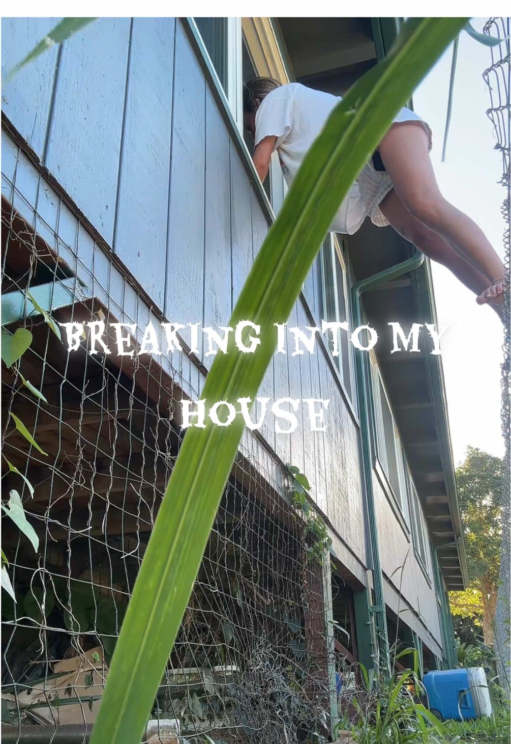 Don’t get any ideas I locked the window now😅#swag #oahu #breakingnews 